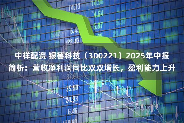 中祥配资 银禧科技（300221）2025年中报简析：营收净利润同比双双增长，盈利能力上升