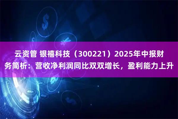 云资管 银禧科技（300221）2025年中报财务简析：营收净利润同比双双增长，盈利能力上升