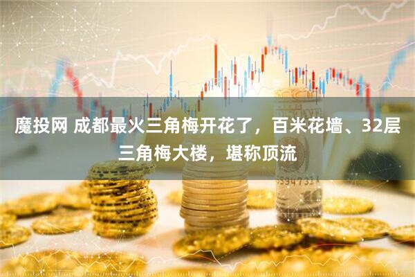 魔投网 成都最火三角梅开花了，百米花墙、32层三角梅大楼，堪称顶流