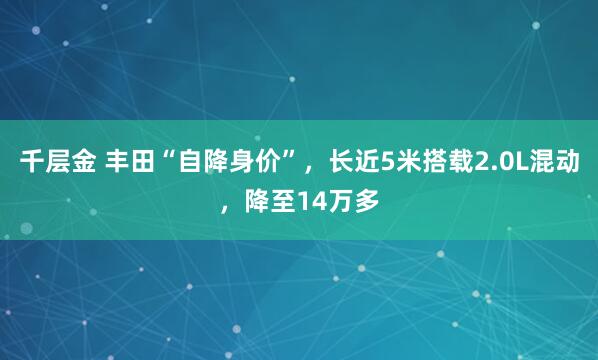 千层金 丰田“自降身价”，长近5米搭载2.0L混动，降至14万多